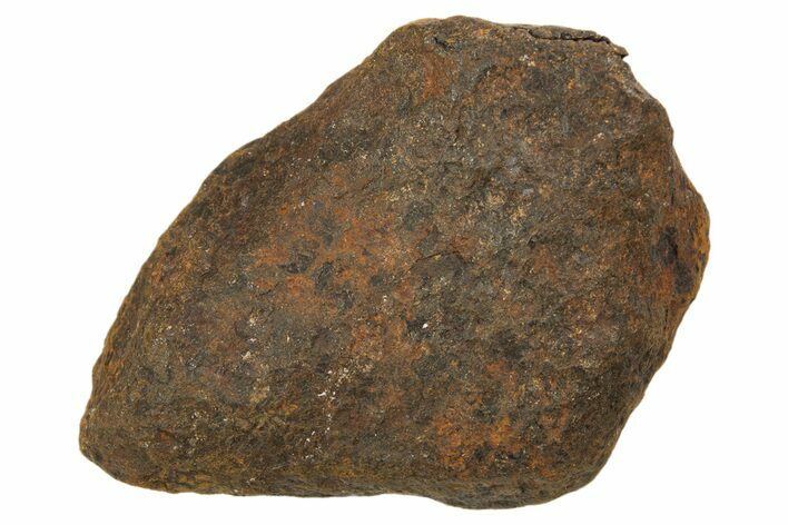 Mundrabilla Iron Meteorite ( g) - Australia #318887